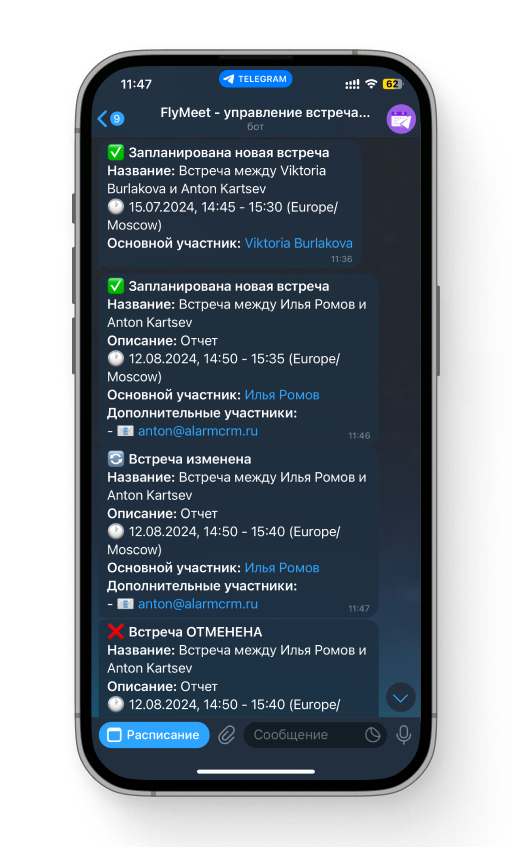 FlyMeet характеристики