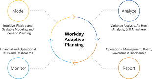 Adaptive Planning отзывы