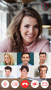 Team Spirit Instant Messenger характеристики
