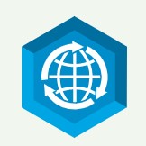 RhoBrowser