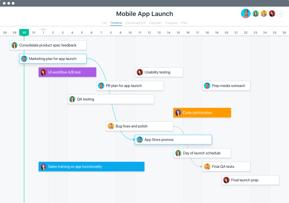 Asana характеристики