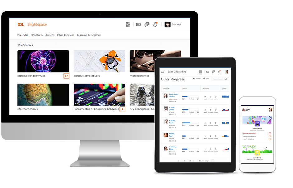 Brightspace программа