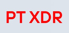 PT XDR