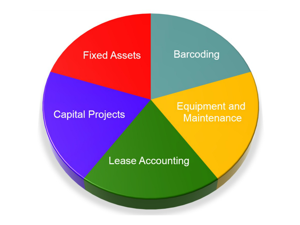 FMIS Asset Management программа