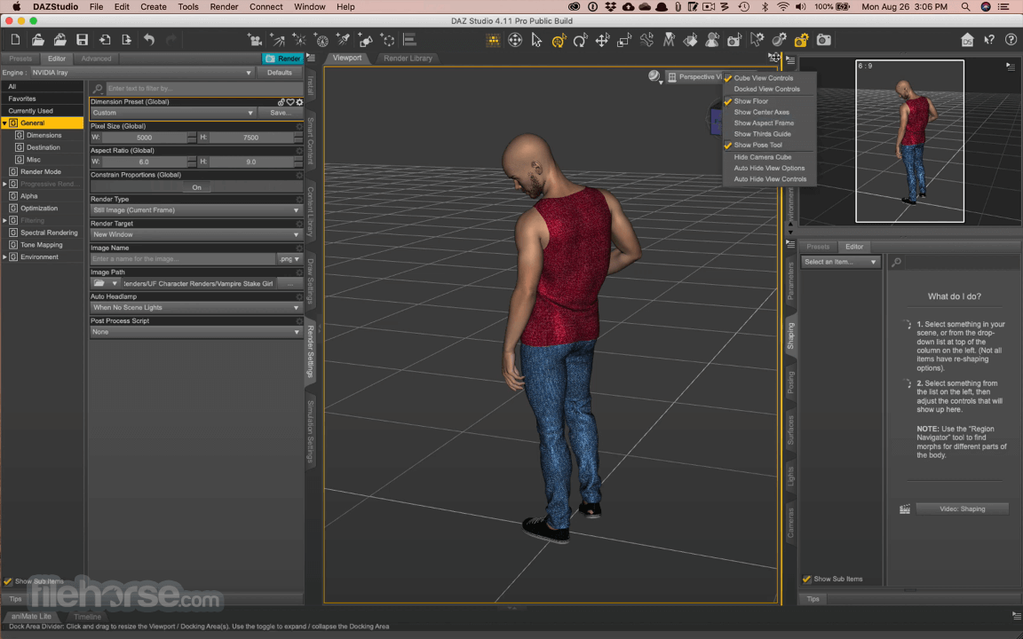 Daz Studio программа