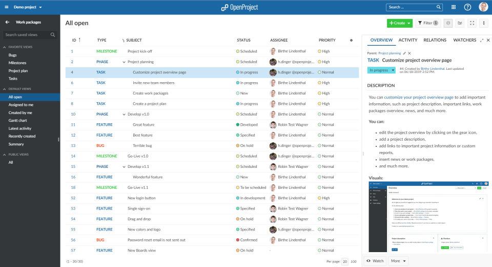 OpenProject ПО