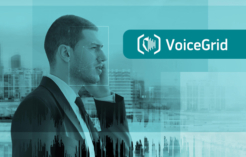 VoiceGrid отзывы