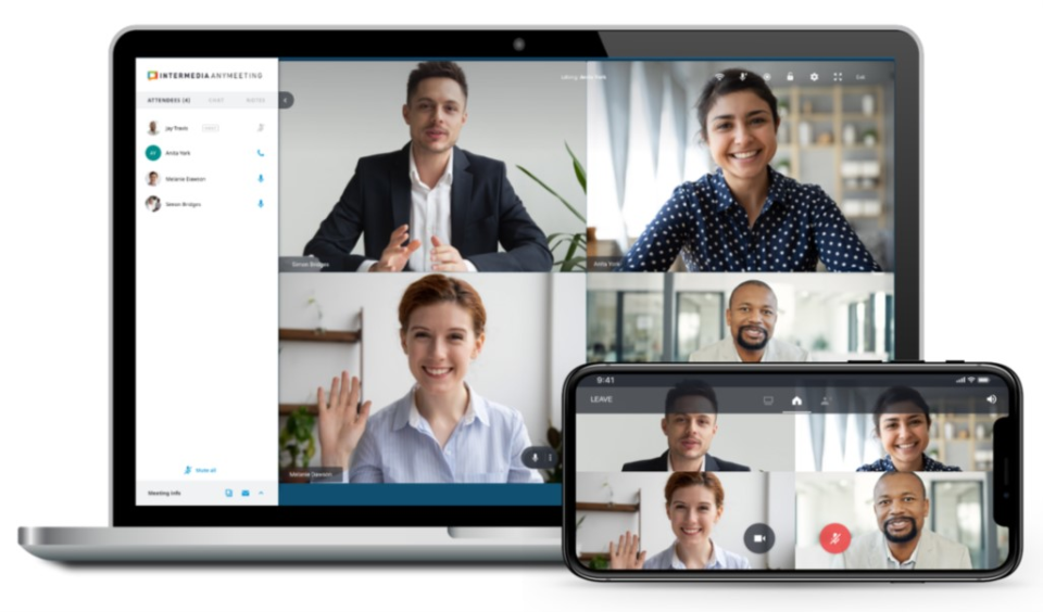 AnyMeeting программа