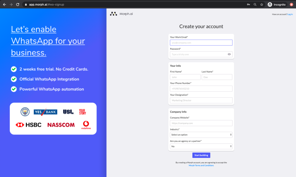 Morph.ai программа