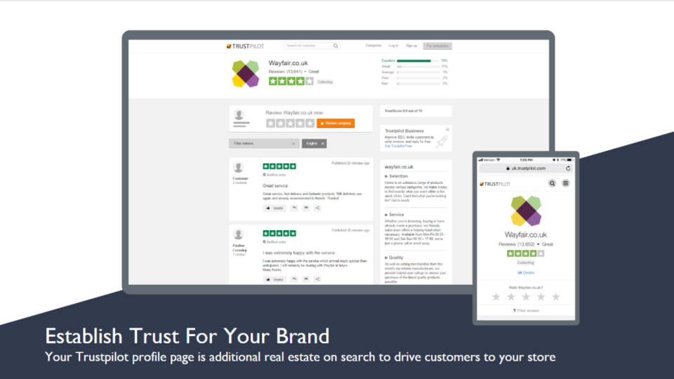 Trustpilot программа