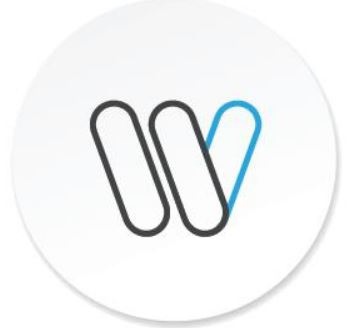 INTELVISION