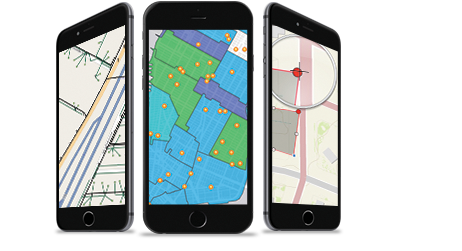 ArcGIS Enterprise подбор