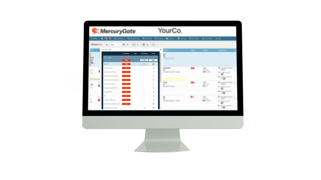 MercuryGate TMS программа