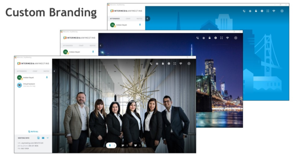 AnyMeeting подбор