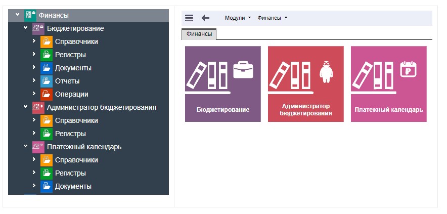 Рули24 Управления финансами ПО