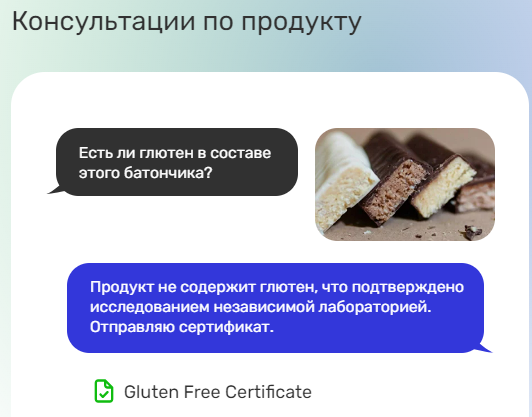 XPLAIN SALES программа