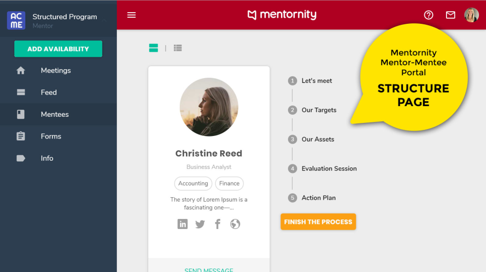 Mentornity программа