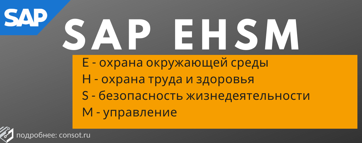 SAP EHSM
