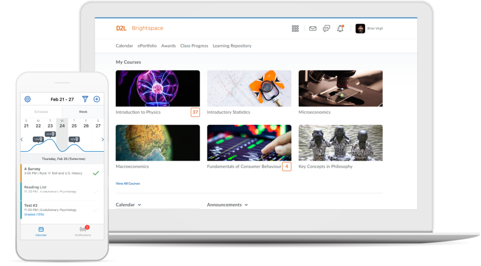 Brightspace ПО