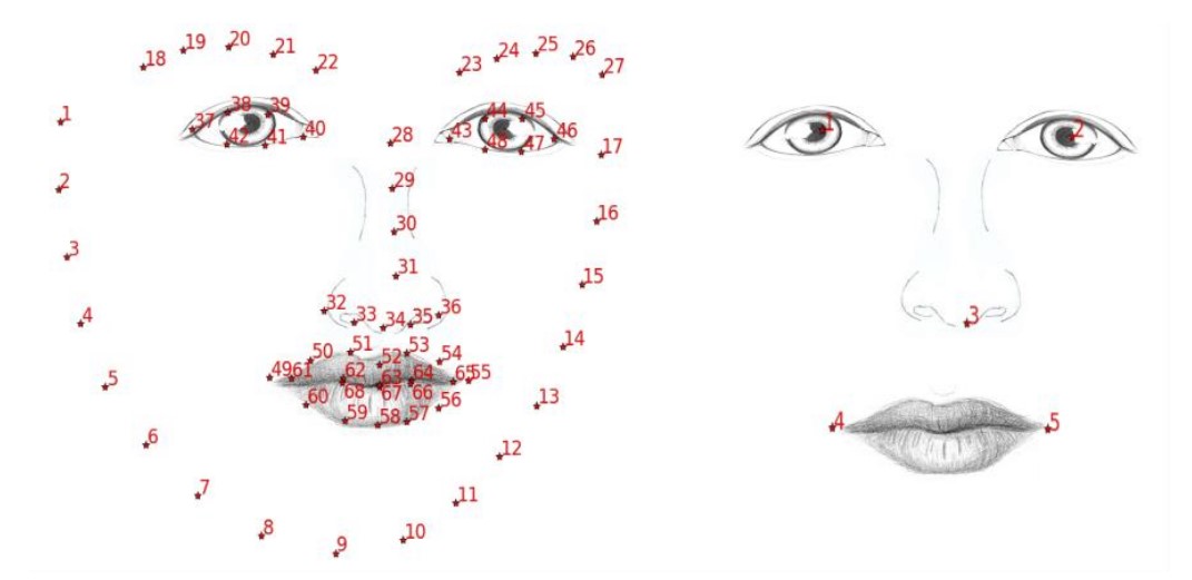 Face.SDK характеристики