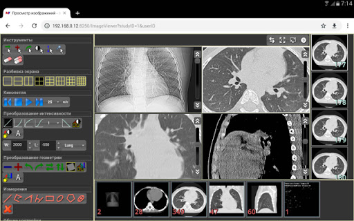 Гамма Мультивокс ВЕБ программа