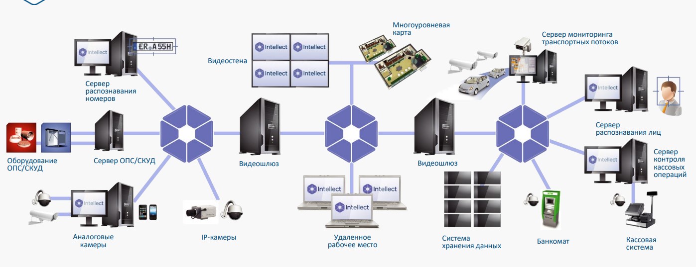 Интеллект