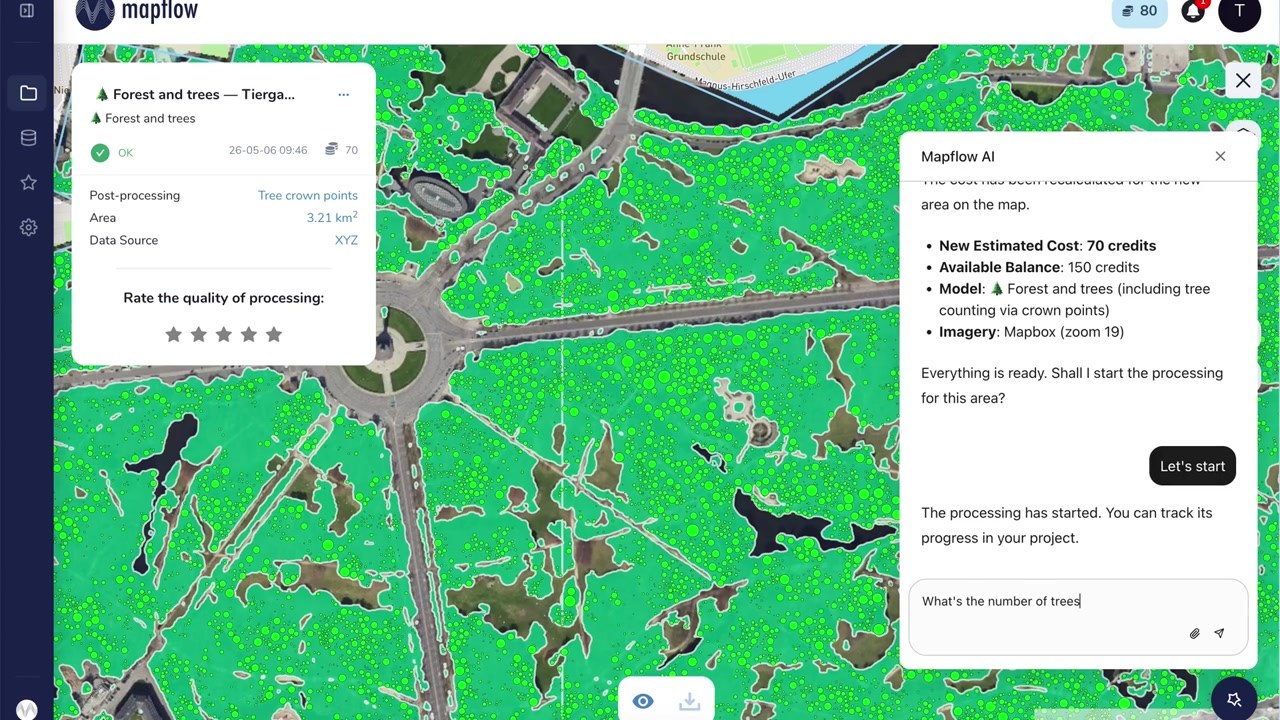 Mapflow отзывы