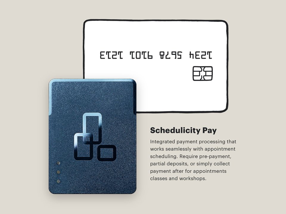 Schedulicity ПО