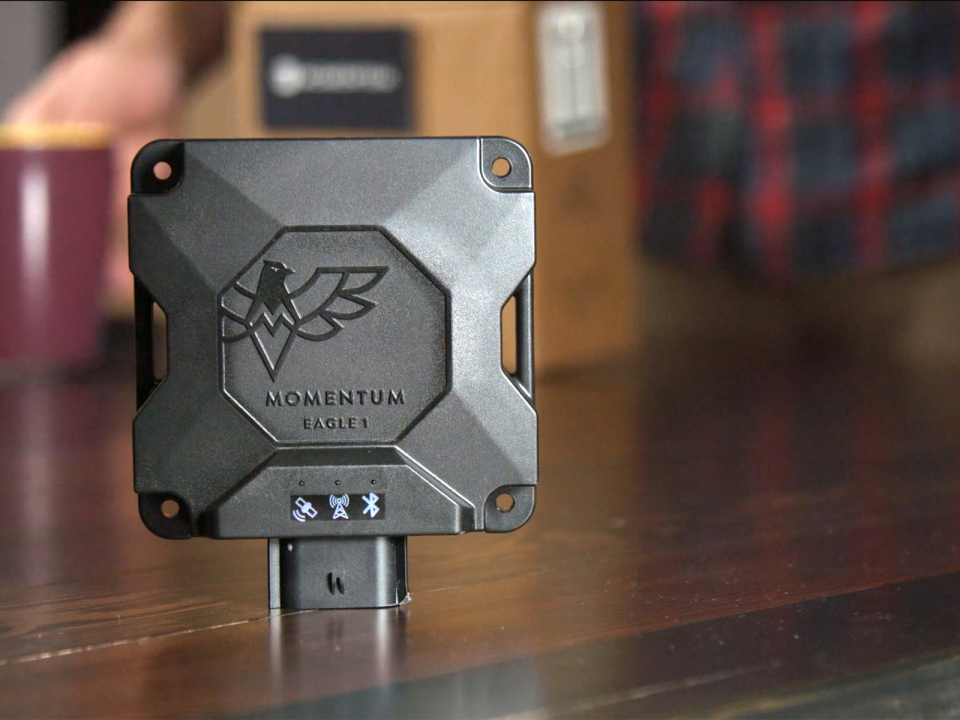 Momentum IoT