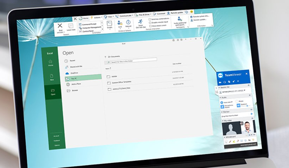 TeamViewer ПО