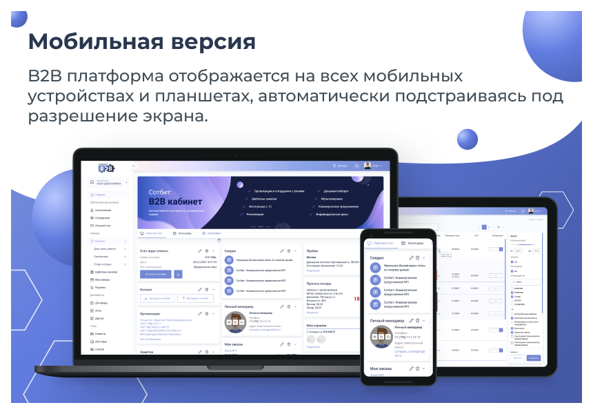 Сотбит: B2B ПО
