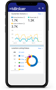 Milestone Analytics программа
