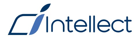 Интеллект