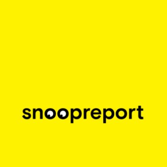 Snoopreport программа
