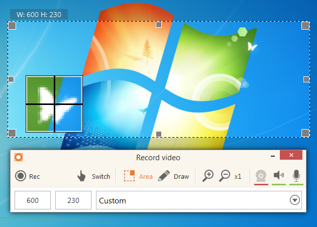 Icecream Screen Recorder ПО