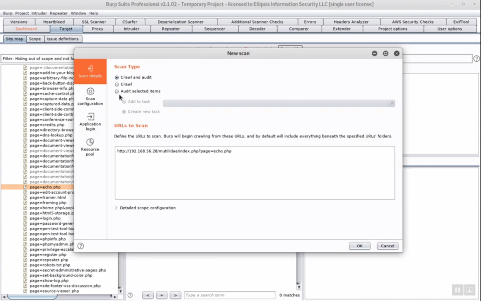 BurpSuite ПО