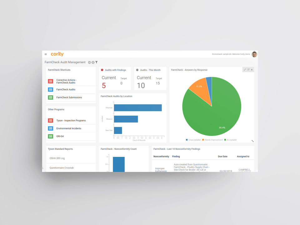 Audit Management Software программа