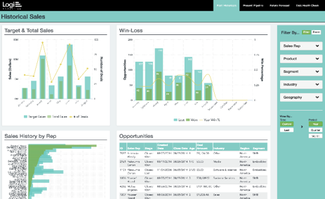 Logi Analytics ПО