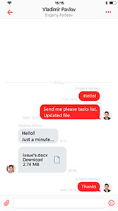 Team Spirit Instant Messenger ПО