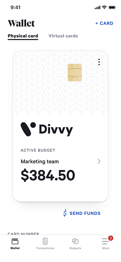 Divvy программа