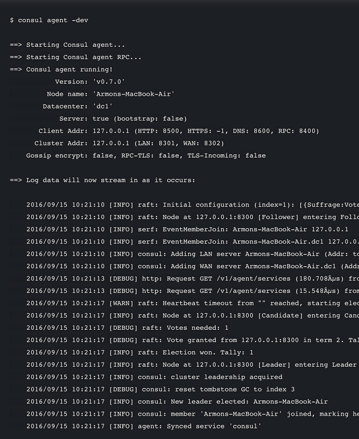 Hashicorp Consul ПО