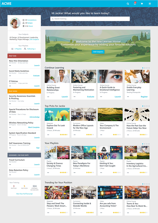 Cornerstone LMS программа