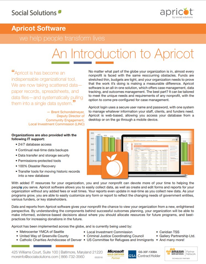 Apricot