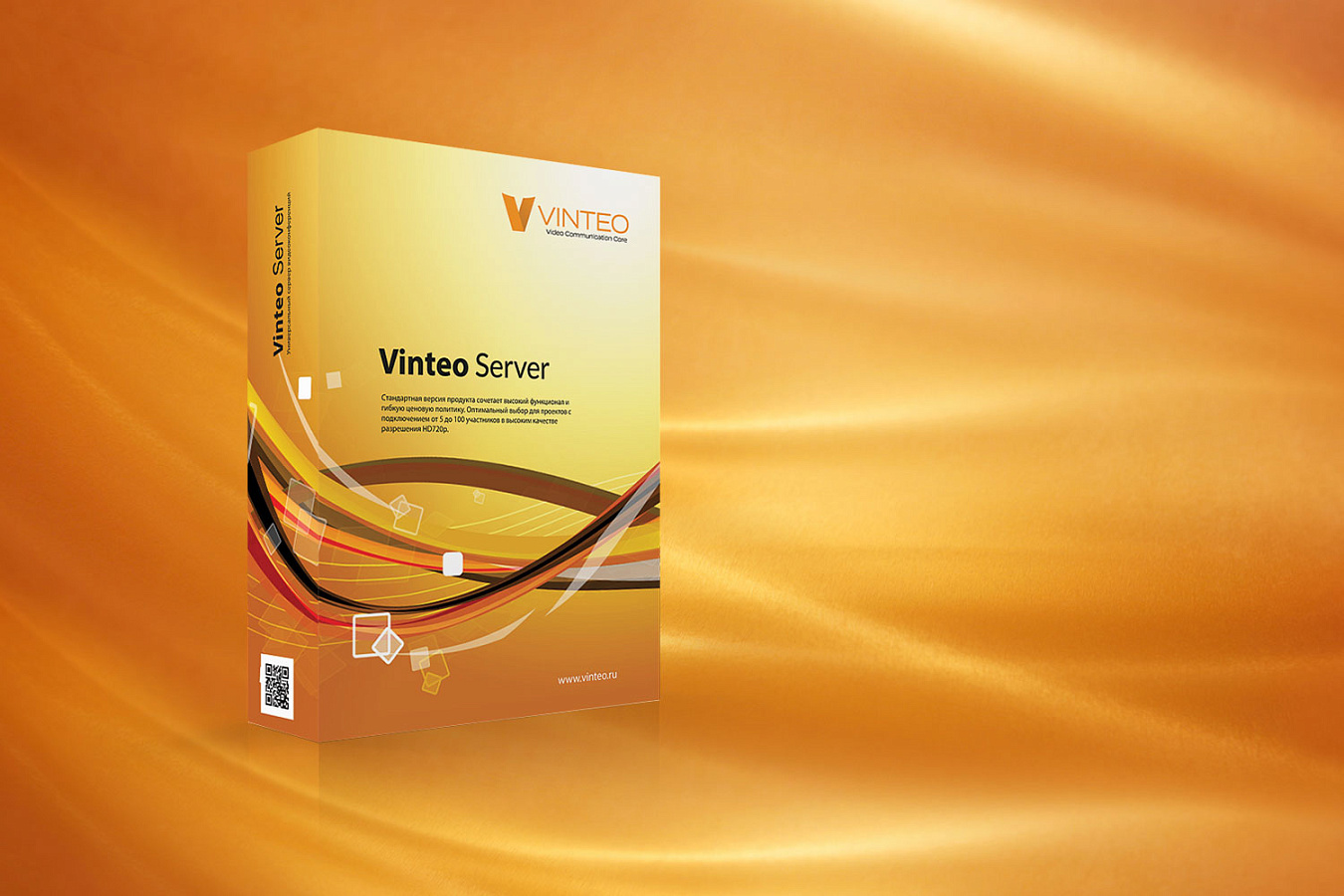 Vinteo программа