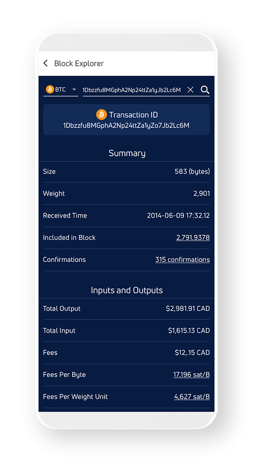 Jaxx Liberty программа