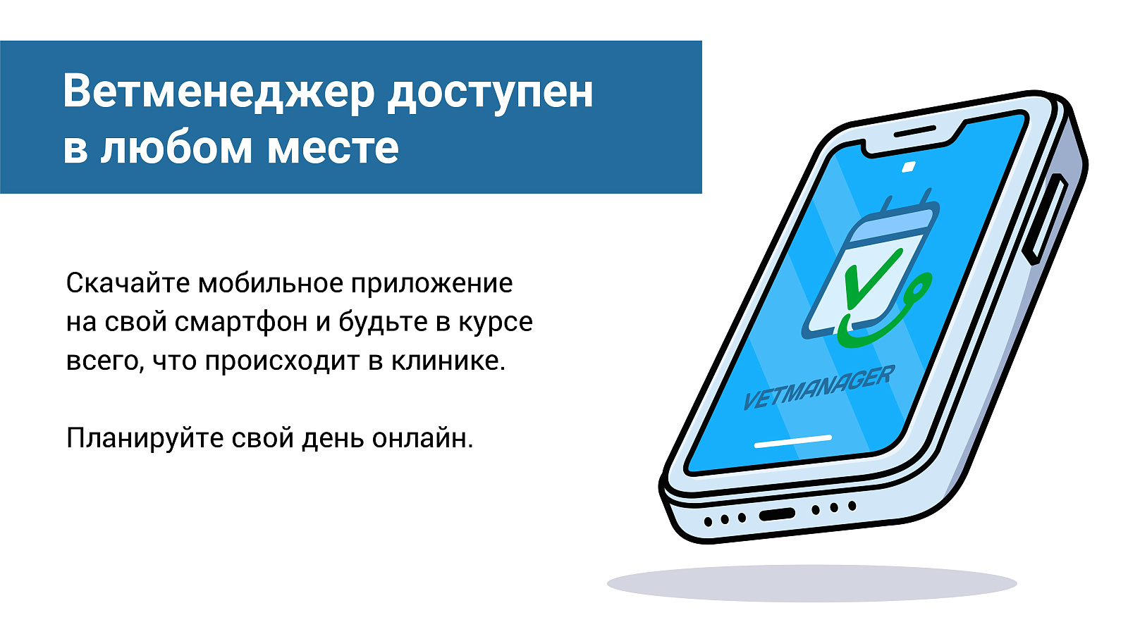 Ветменеджер ПО