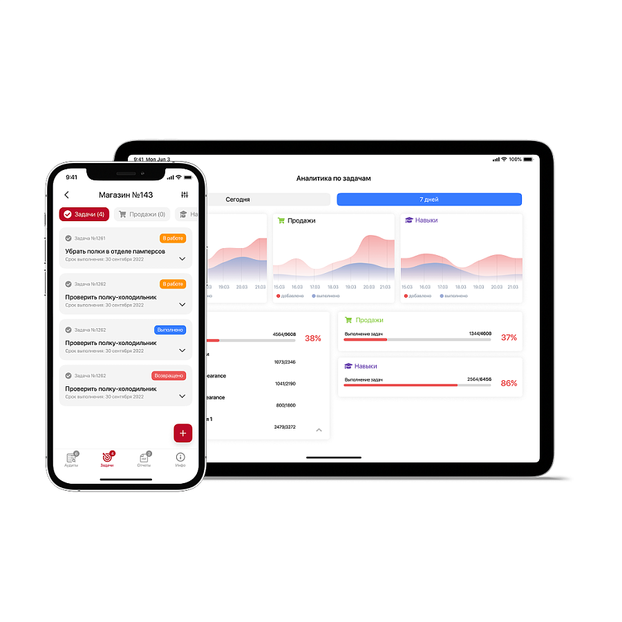 Imredi Audit Pro ПО