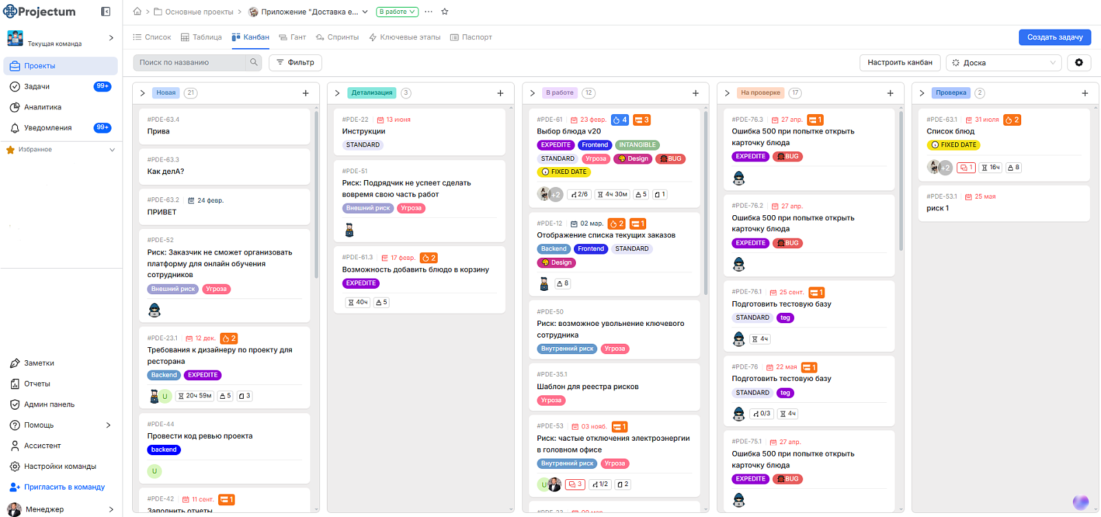 Projectum характеристики