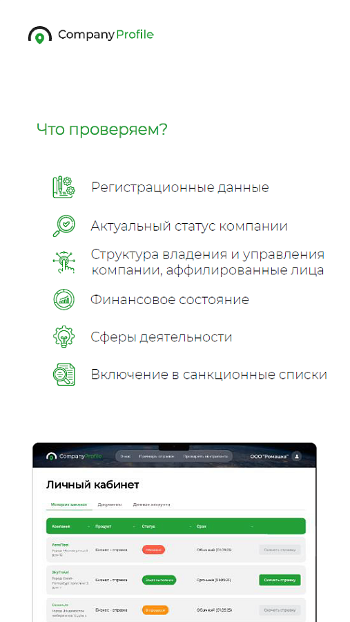 Company profile программа