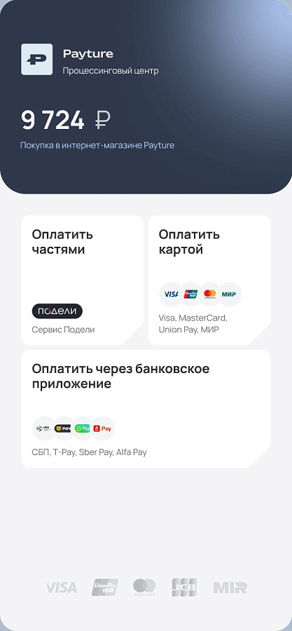 Payture характеристики